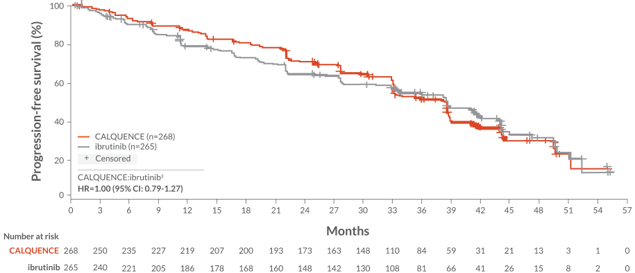 ELEVATE-RR Study IRC-Assessed PFS Data