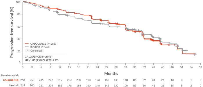 ELEVATE-RR Study IRC-Assessed PFS Data